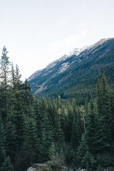 Beautiful mountain and forest landscape in British Columbia, Canada.