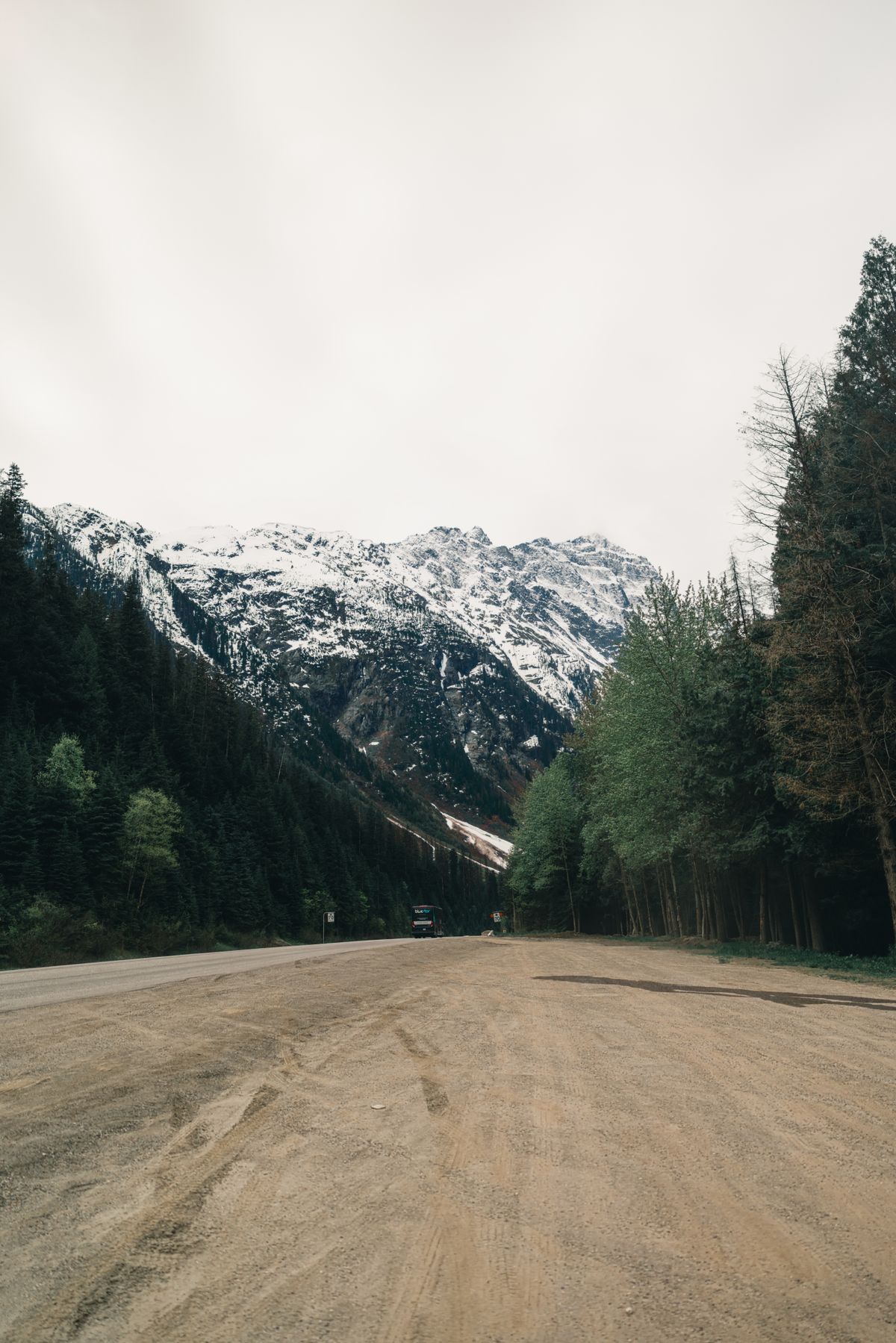 A gravel forest road cutting through dense evergreens toward snow-capped mountains in BC