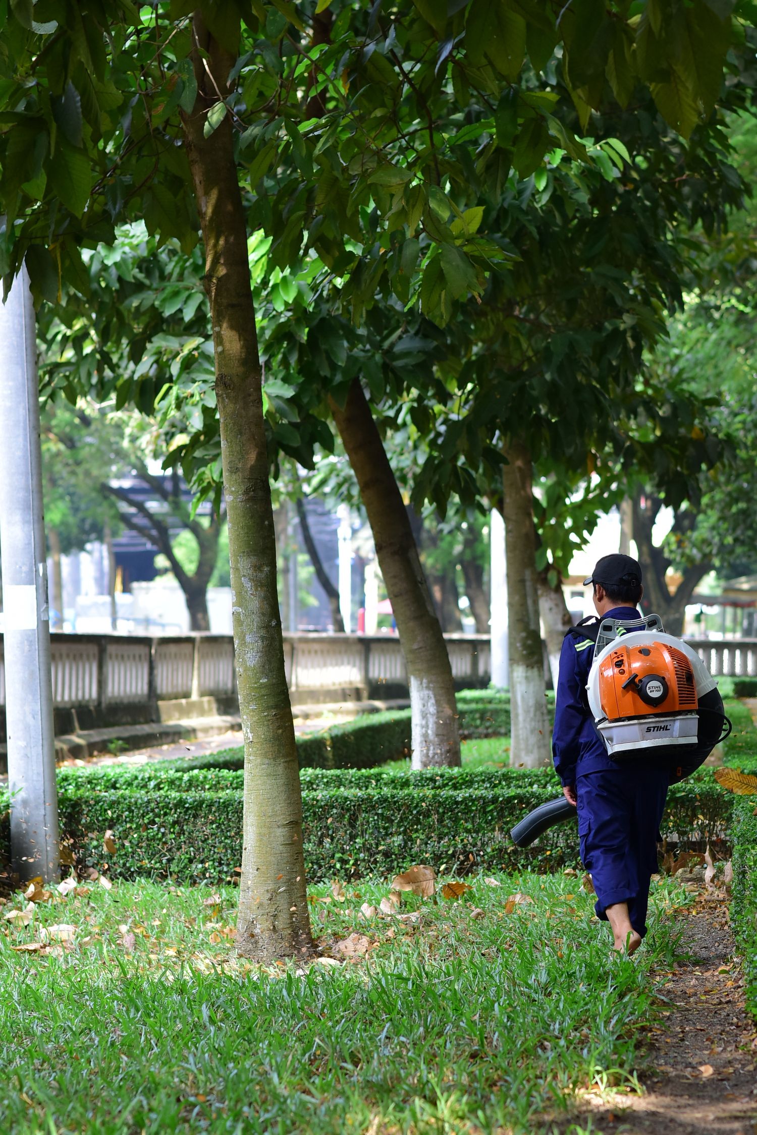 A gardener wearing a blower walks along a lush, tree-lined path in a city park