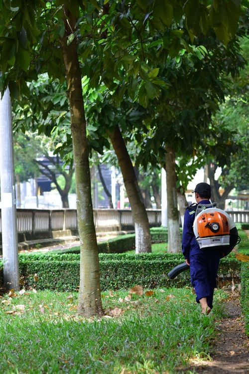 Free A gardener wearing a blower walks along a lush, tree-lined path in a city park. Stock Photo
