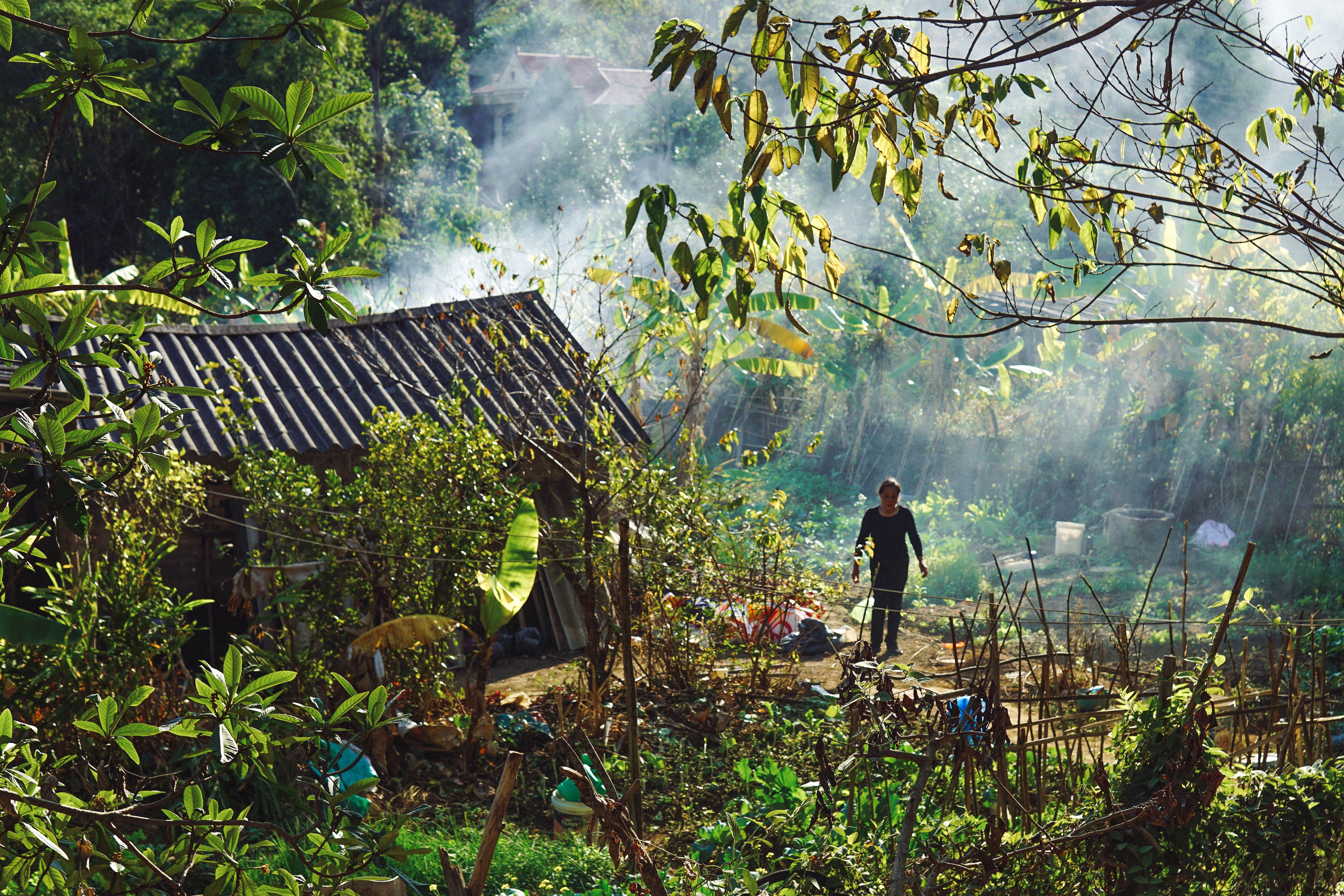 Small farm with sustainable practices