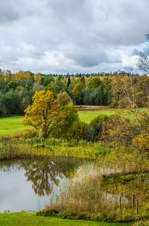 Free Breathtaking autumn landscape with vibrant trees reflecting in a serene pond in Ķeipene, Latvia. Stock Photo