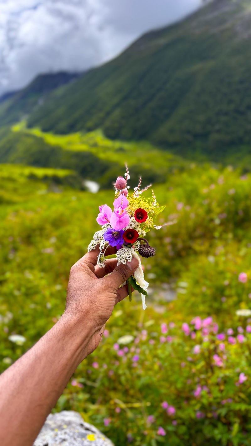 Valley of Flowers Trek — Trek & Adventure destination in Uttarakhand