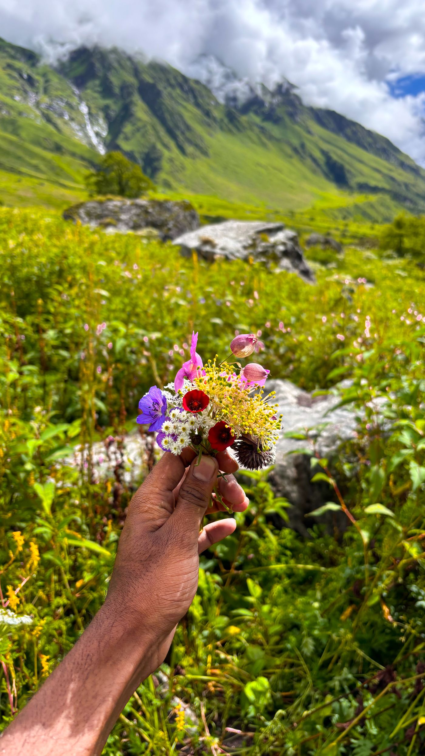 Valley of Flowers National Park — Uttarakhand travel photograph 2