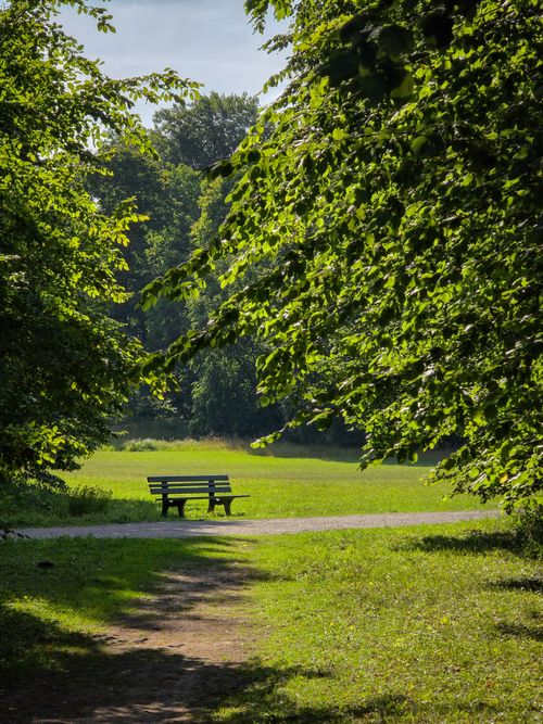 Free A tranquil park bench surrounded by lush greenery in Munich, Germany on a sunny day. Stock Photo