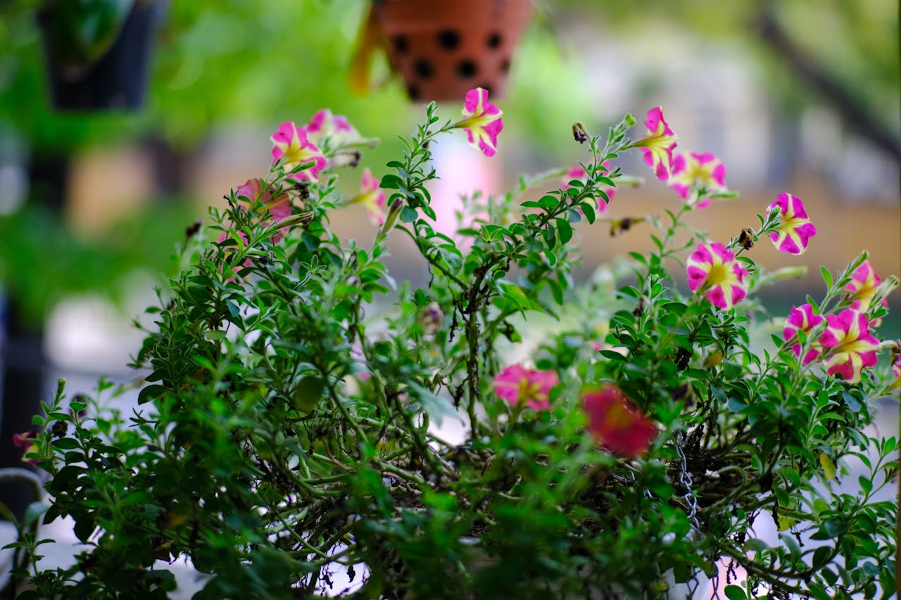 Bí mật tạo nhân vật phụ làm câu chuyện bùng nổ