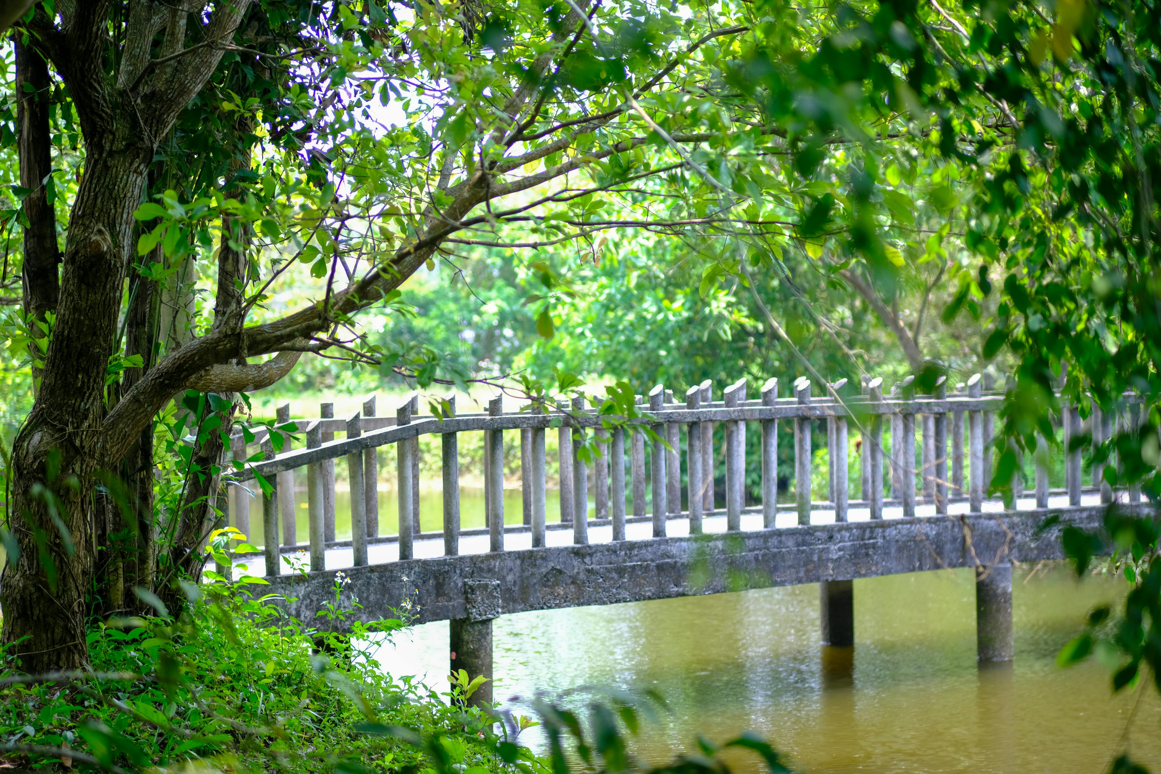 Trung tâm nghiên cứu văn học, phát triển nhà văn Việt Nam