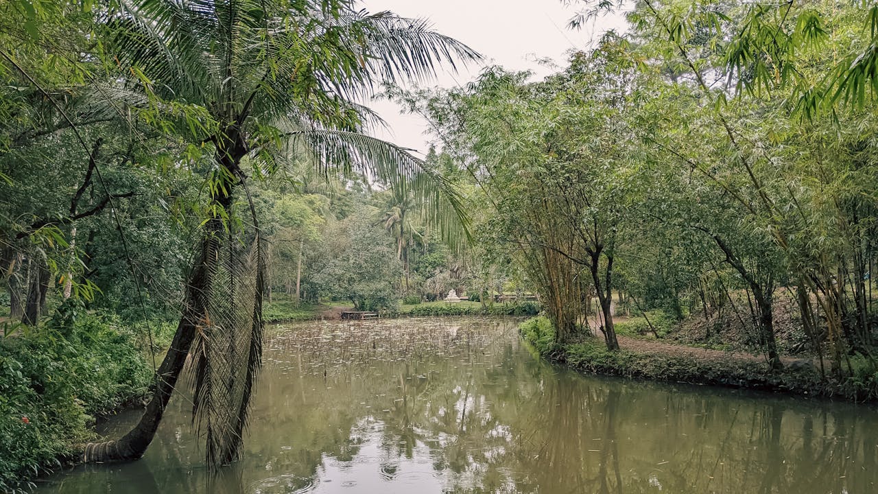 Cẩm nang du lịch Bắc Ninh