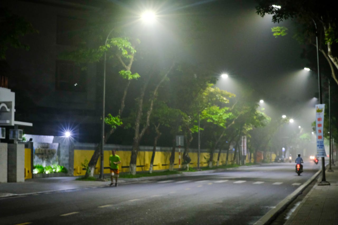 Cây phát sinh loài dựa trên hình thái sai lầm