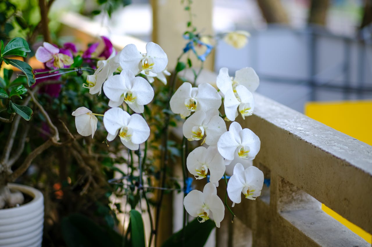 Bí quyết viết nội dung truyền cảm hứng cho độc giả