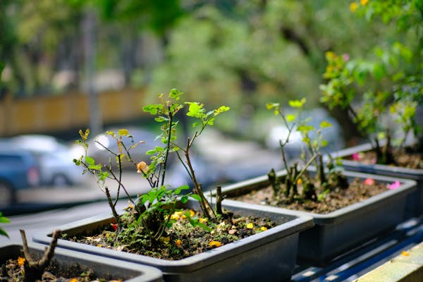 Trung tâm nghiên cứu văn học, phát triển nhà văn Việt Nam