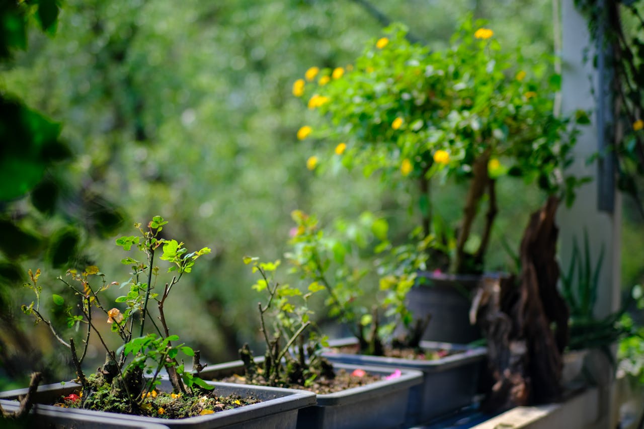 Viết bài văn nghị luận về việc làm từ thiện đối với học sinh