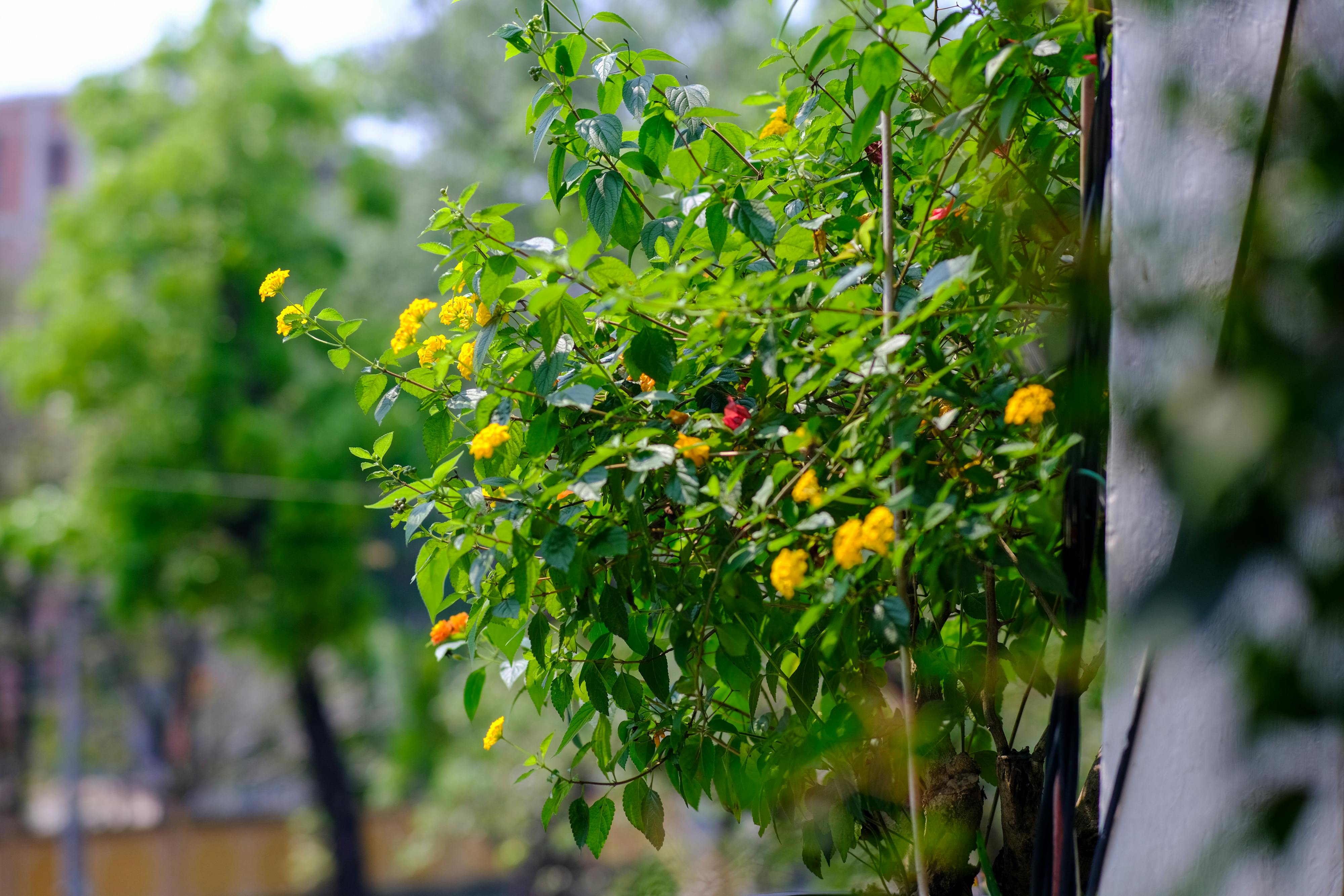 Trung tâm nghiên cứu văn học, phát triển nhà văn Việt Nam