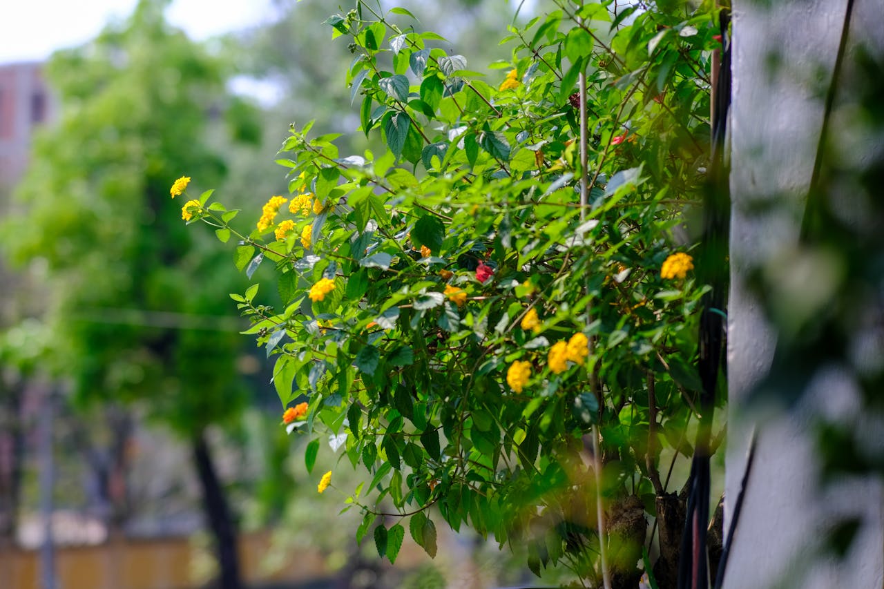 Thám tử lừng danh Conan | Chương 0743