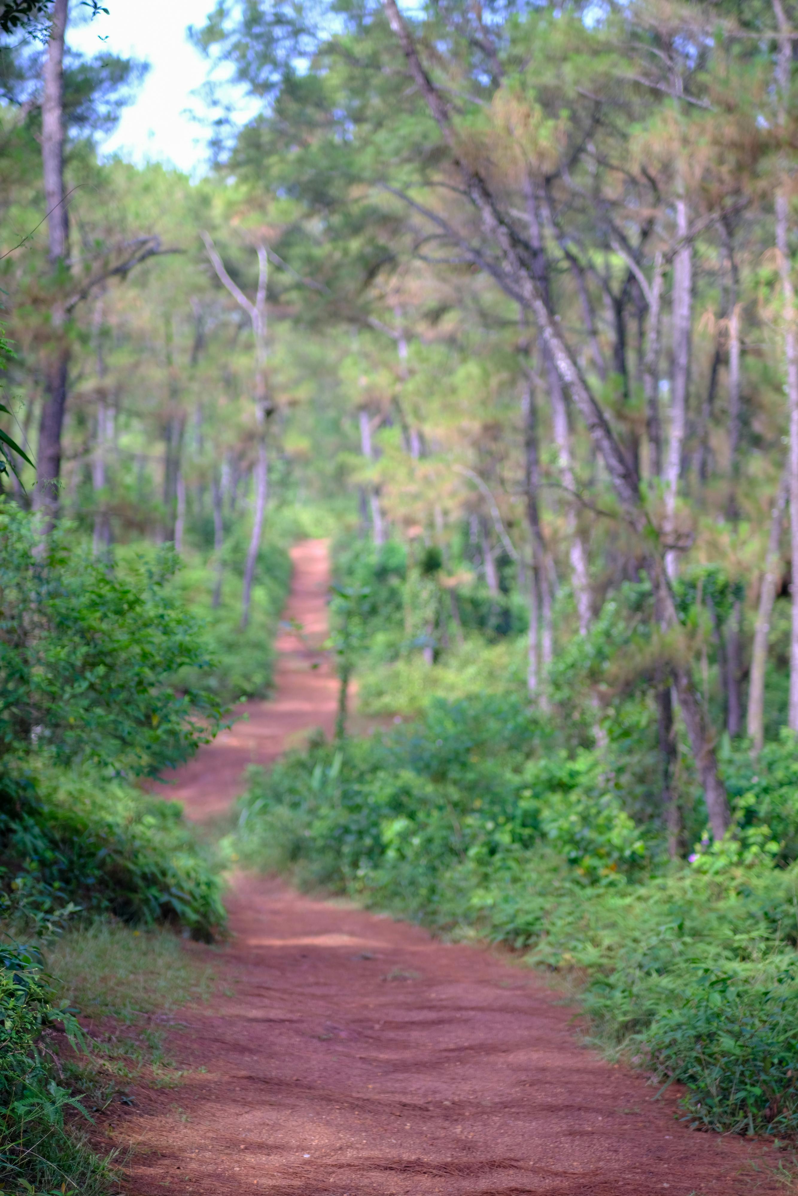 Trung tâm nghiên cứu văn học, phát triển nhà văn Việt Nam