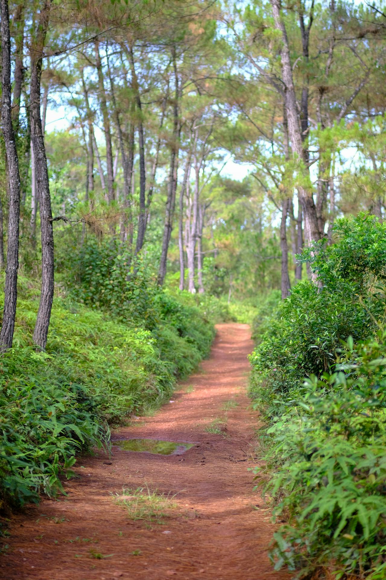 Thập thiện (Daśa kuśala karmapatha – 十善業道) là gì?