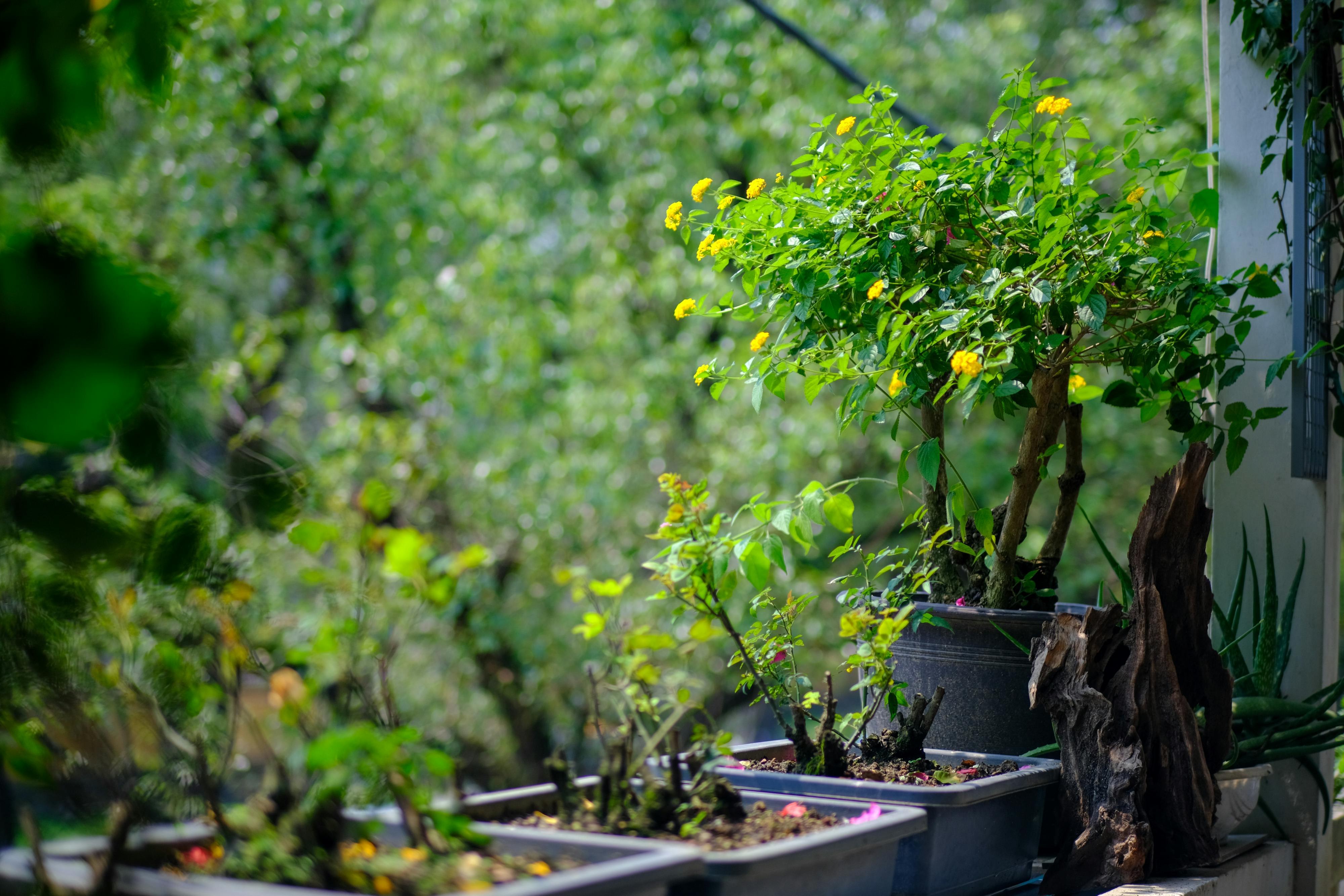 Trung tâm nghiên cứu văn học, phát triển nhà văn Việt Nam