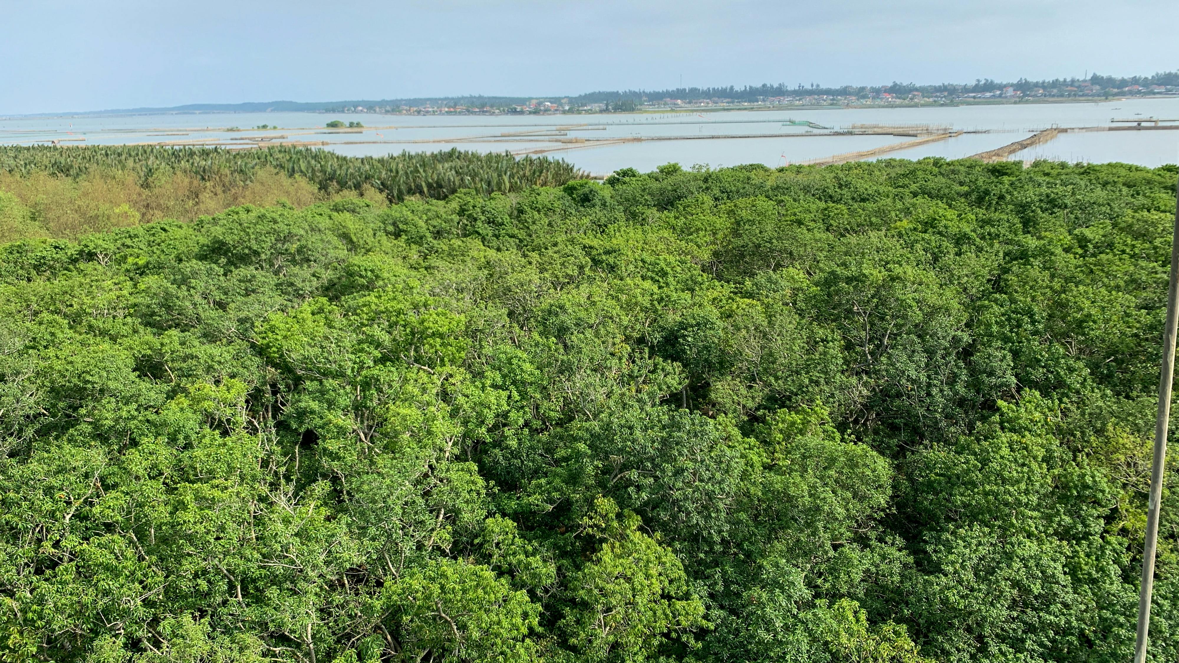 Diễn từ Nobel Văn học 1996 – Nhà thơ và thế giới, Wisława Szymborska 307 – thu vien, van hoc, nobel, nobel van hoc, nobel van hoc 1996, wisława szymborska, dien tu nobel van hoc, dien tu nobel, dien tu nobel van hoc 1996, dien tu van hoc 1996.