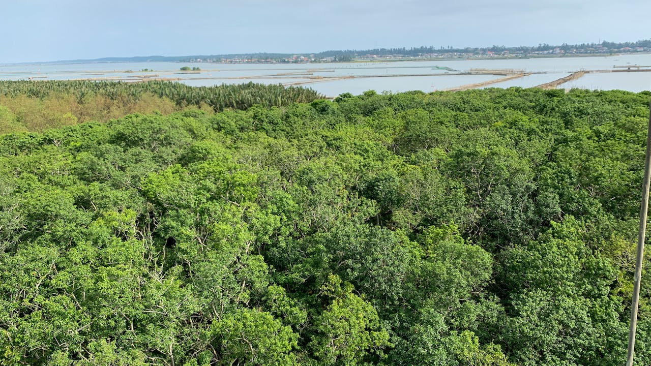 Thám tử lừng danh Conan | Chương 0056
