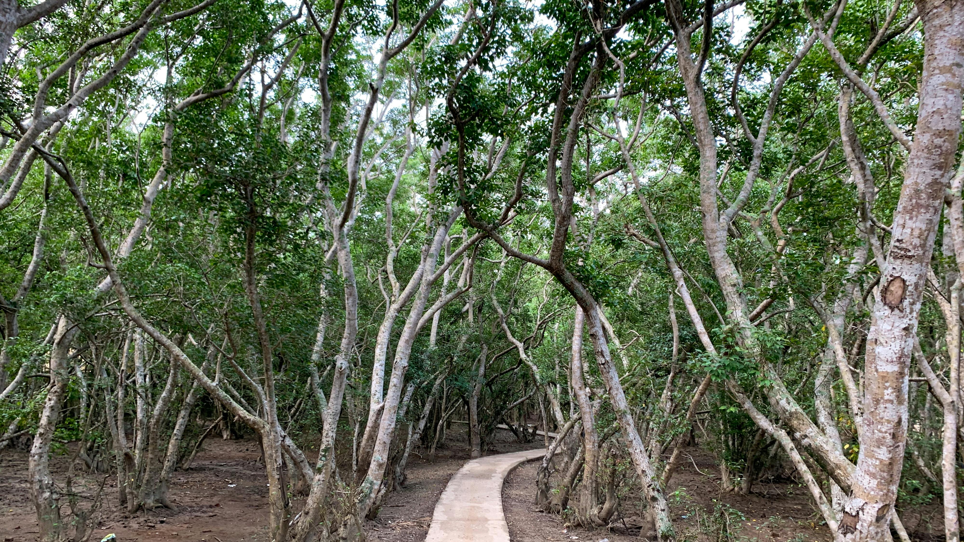 Thám tử lừng danh Conan | Chương 1035 039 – manga, gosho aoyama, case closed, tham tu lung danh conan, conan, detective conan, truyen tranh, trinh tham, pha an, trinh tham, kinh di, truyen conan, doc truyen conan, tham tu lung danh conan chuong 1035, tham tu lung danh conan 1035.