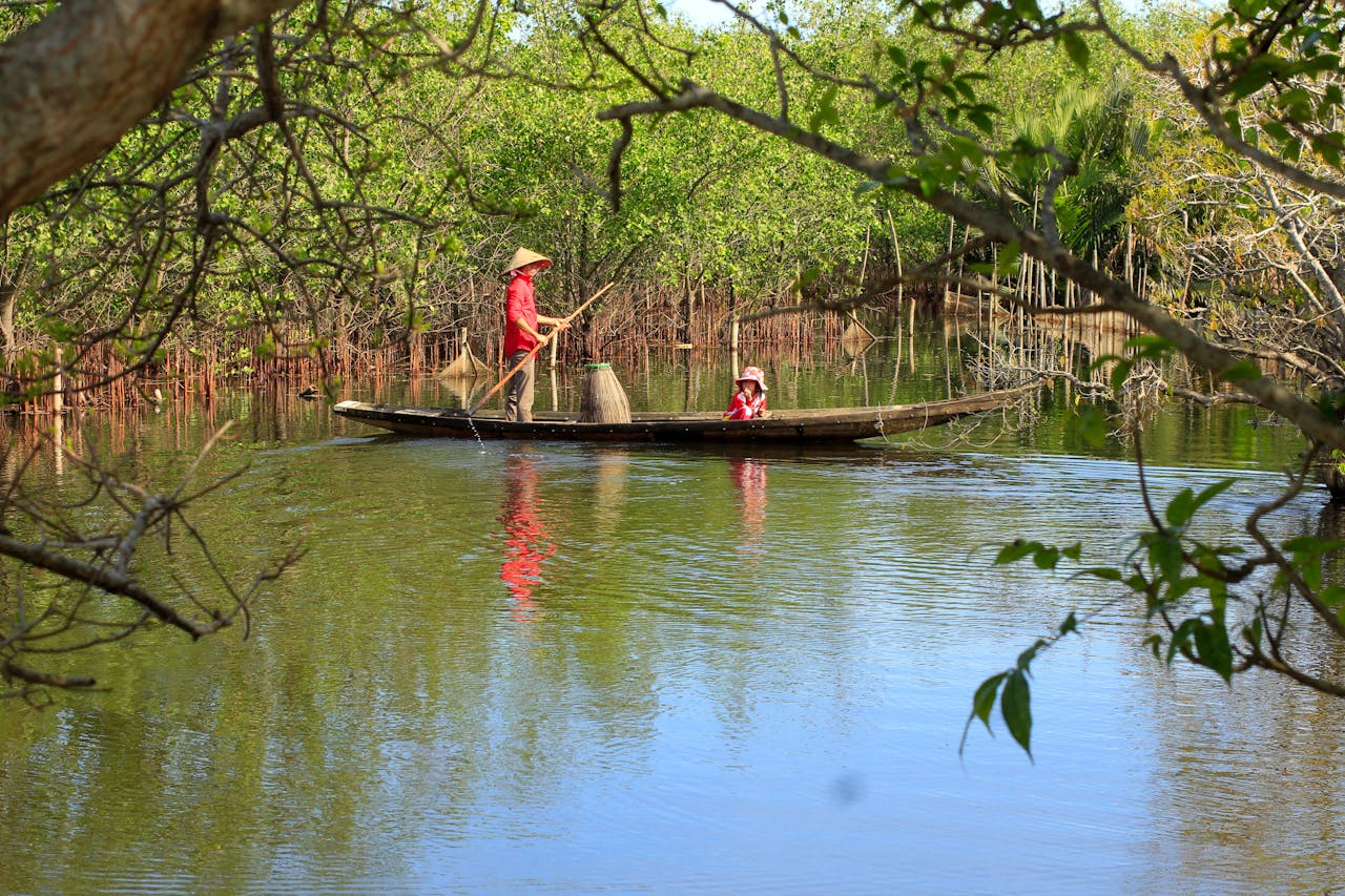 Loài người ít đa dạng di truyền hơn lúa mì