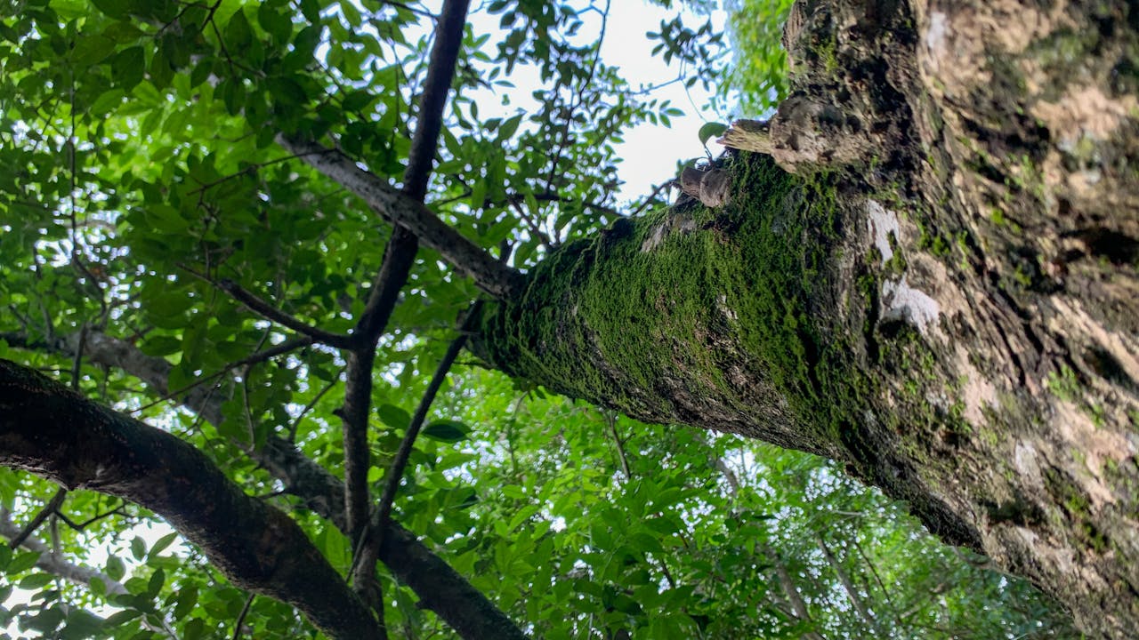 Tuyển tập sách của Higashino Keigo