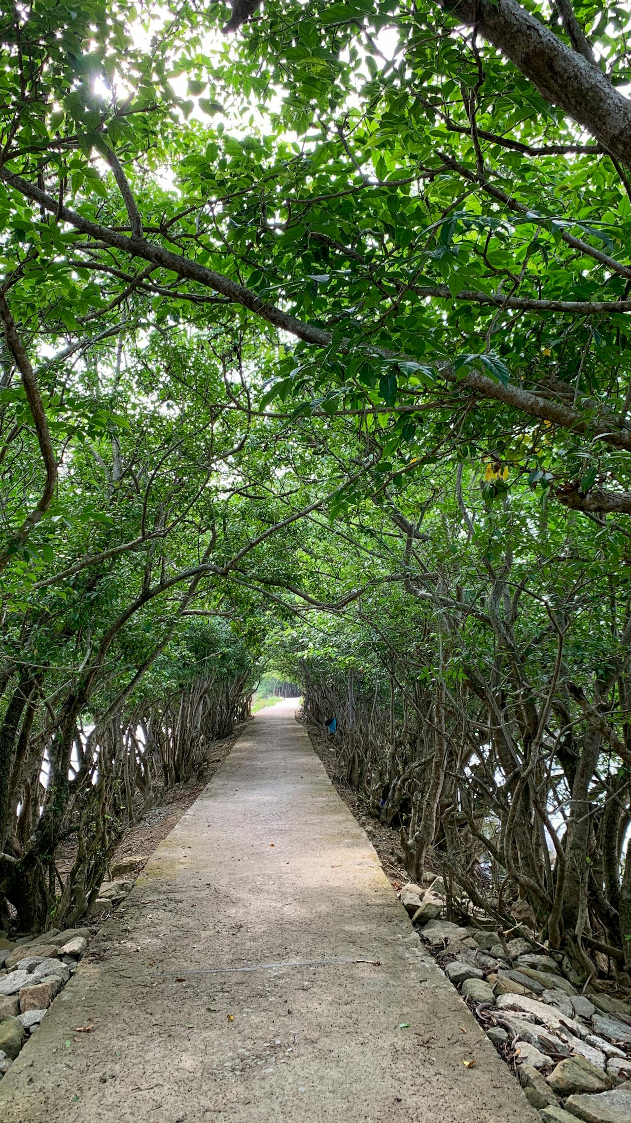 Cách mạng chính trị quan trọng nhất thế kỷ XX