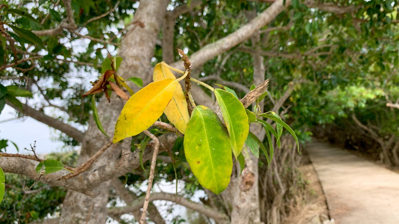 Định giá động trong khách sạn và tầm quan trọng