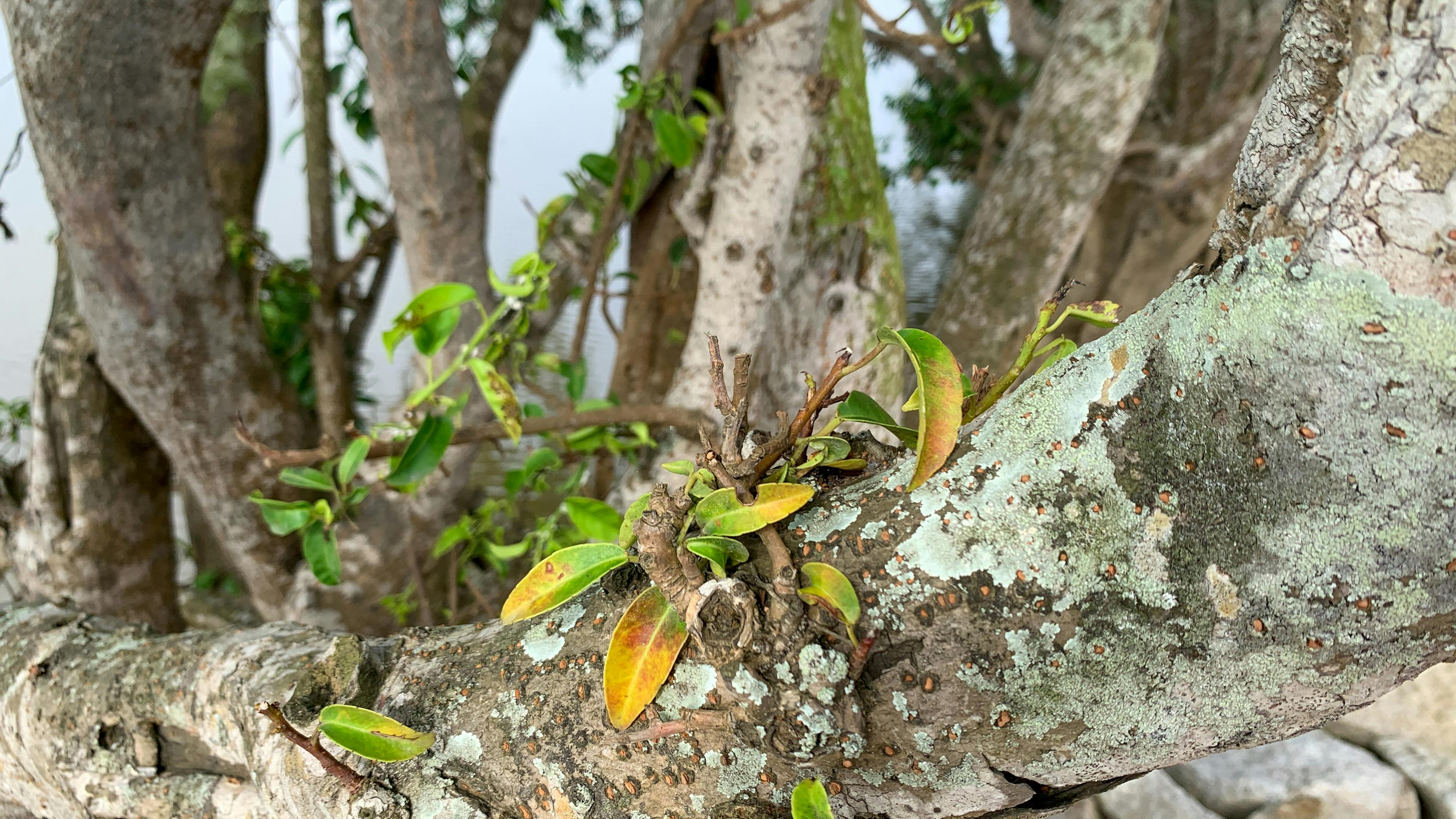 Trung tâm nghiên cứu văn học, phát triển nhà văn Việt Nam