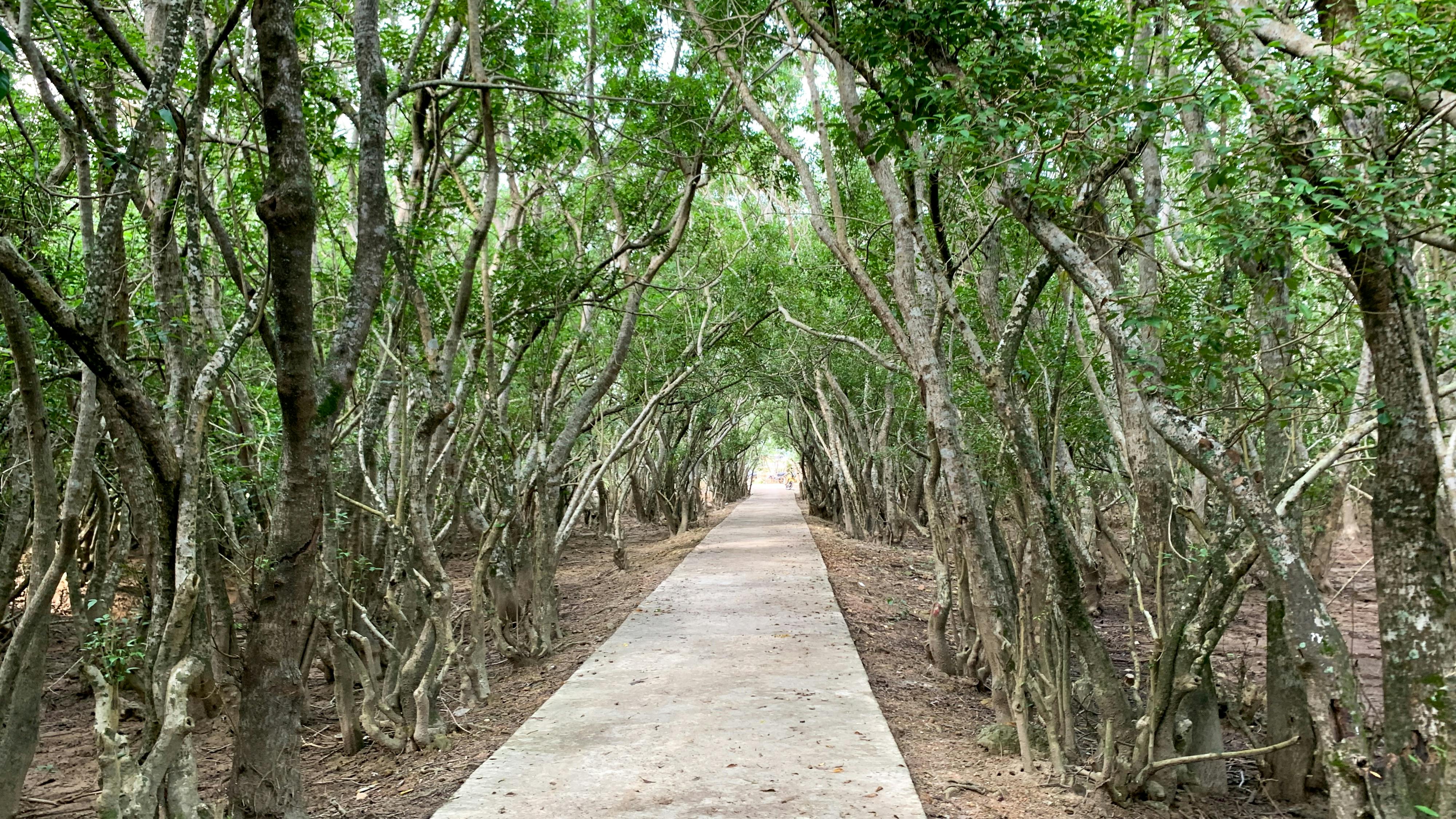 Trung tâm nghiên cứu văn học, phát triển nhà văn Việt Nam