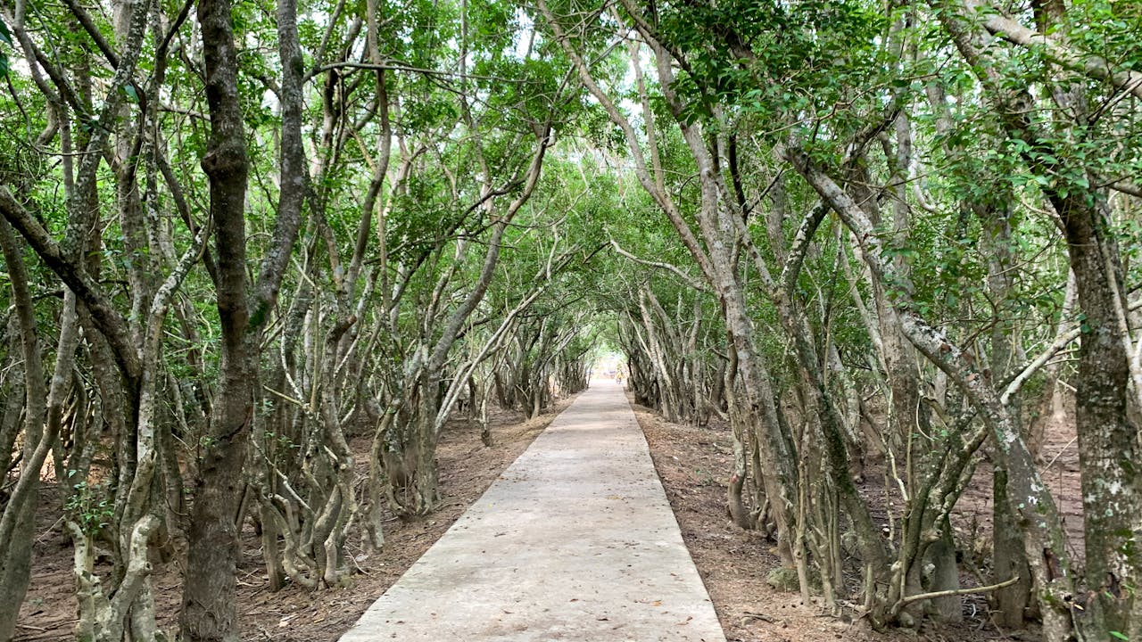 Làm thế nào để sử dụng ký sự để kể chuyện cuốn hút?