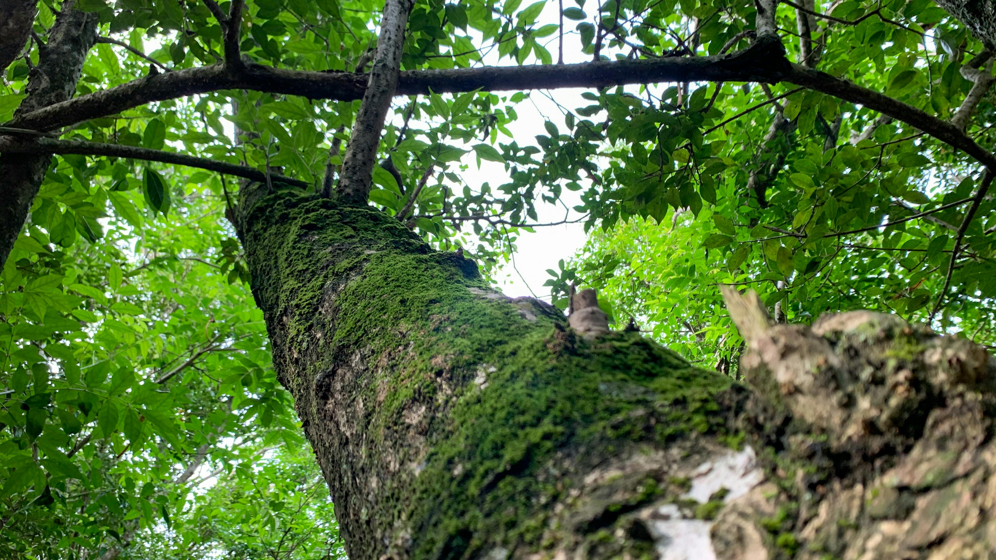 Trung tâm nghiên cứu văn học, phát triển nhà văn Việt Nam