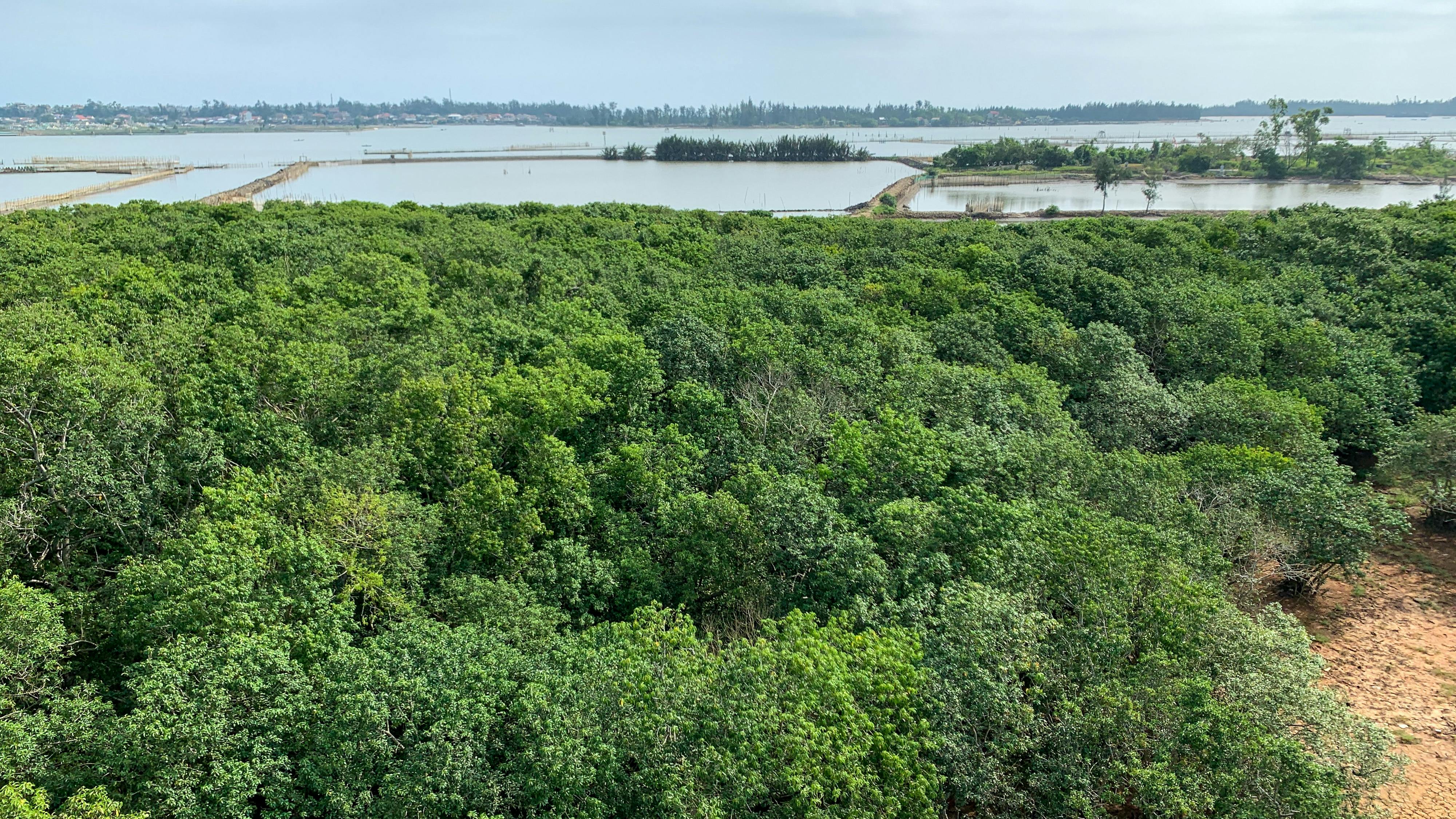 Thám tử lừng danh Conan 128 – manga, gosho aoyama, case closed, tham tu lung danh conan, conan, detective conan, truyen tranh, trinh tham, pha an, truyen conan, doc truyen conan, tham tu lung danh conan.