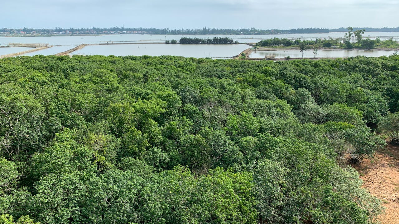 Làm thế nào để bắt đầu viết lách?