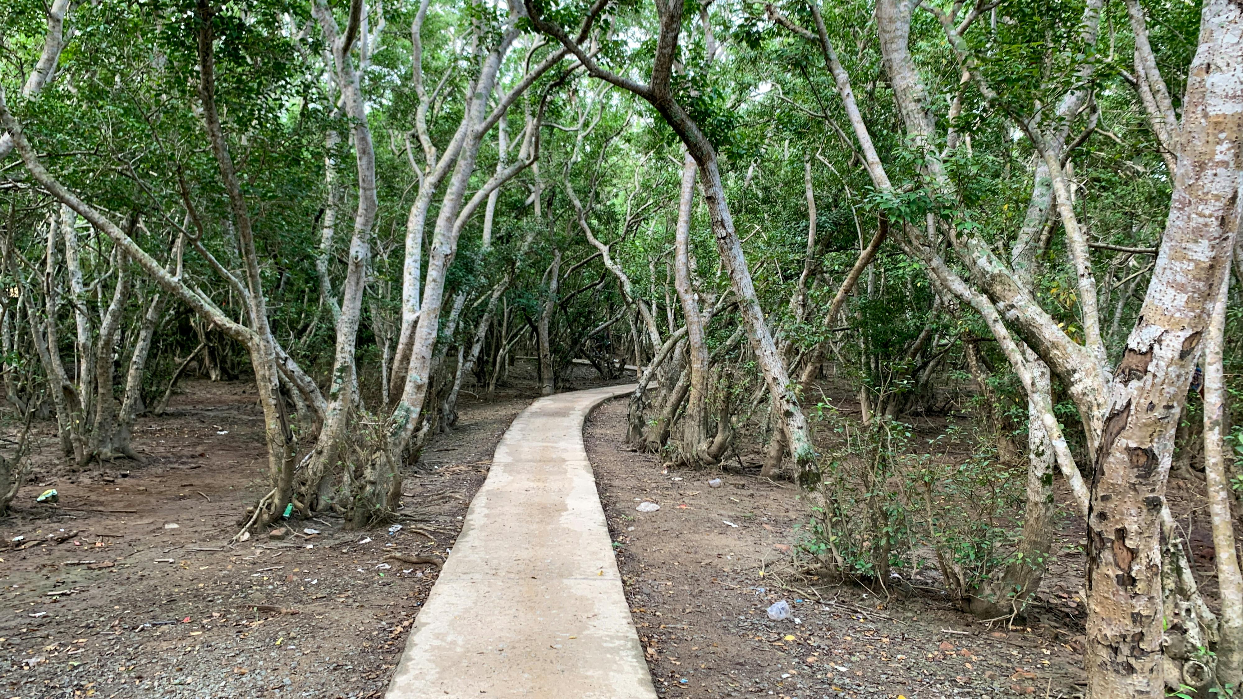 Khắc kỷ và Phật giáo có phải triết lý không lành mạnh 039 – tam ly hoc, ton giao, triet hoc, chu nghia khac ky, phat giao, triet hoc, chu nghia khac ky phat giao.