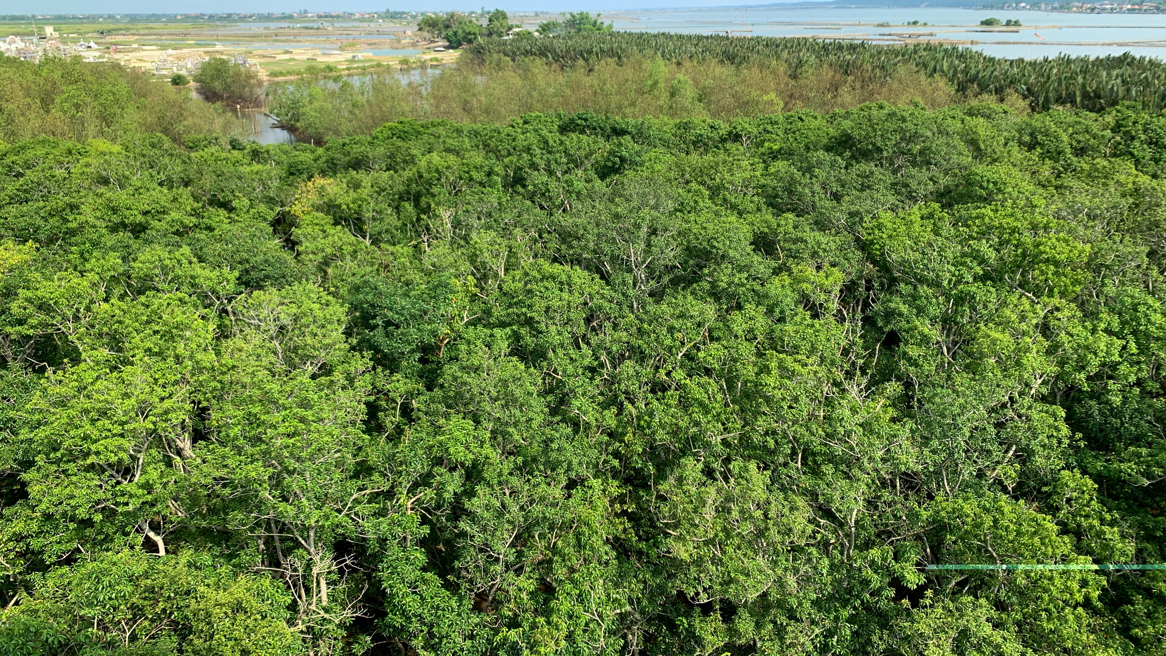 Trung tâm nghiên cứu văn học, phát triển nhà văn Việt Nam
