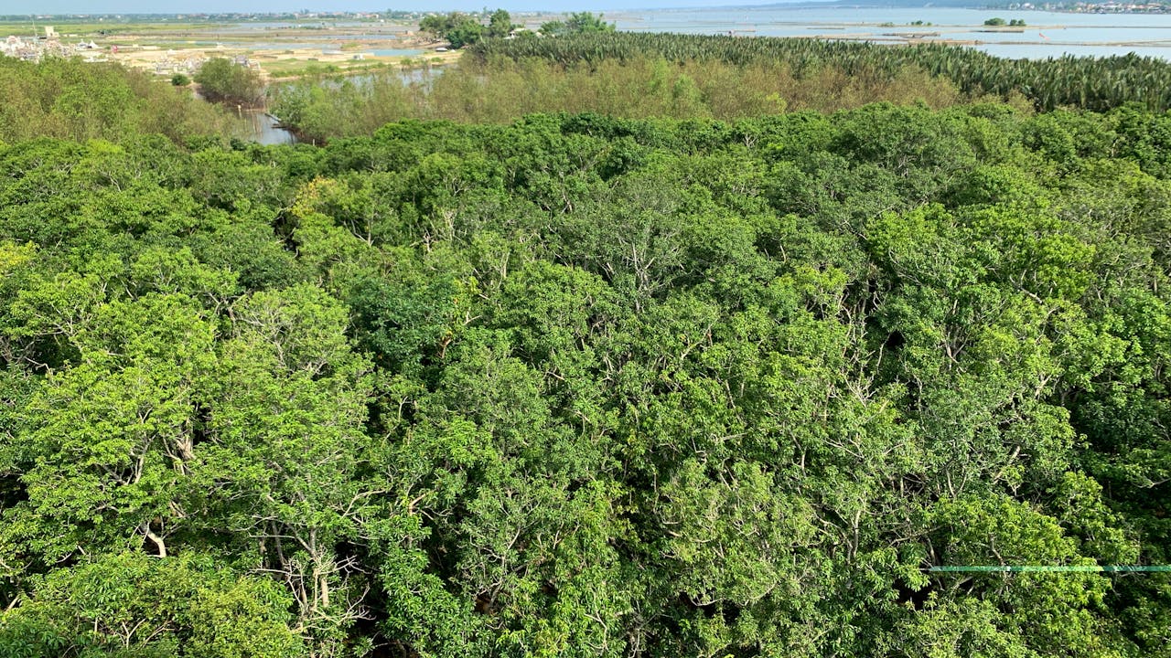 Kết cấu không gian là một con Mèo Cheshire