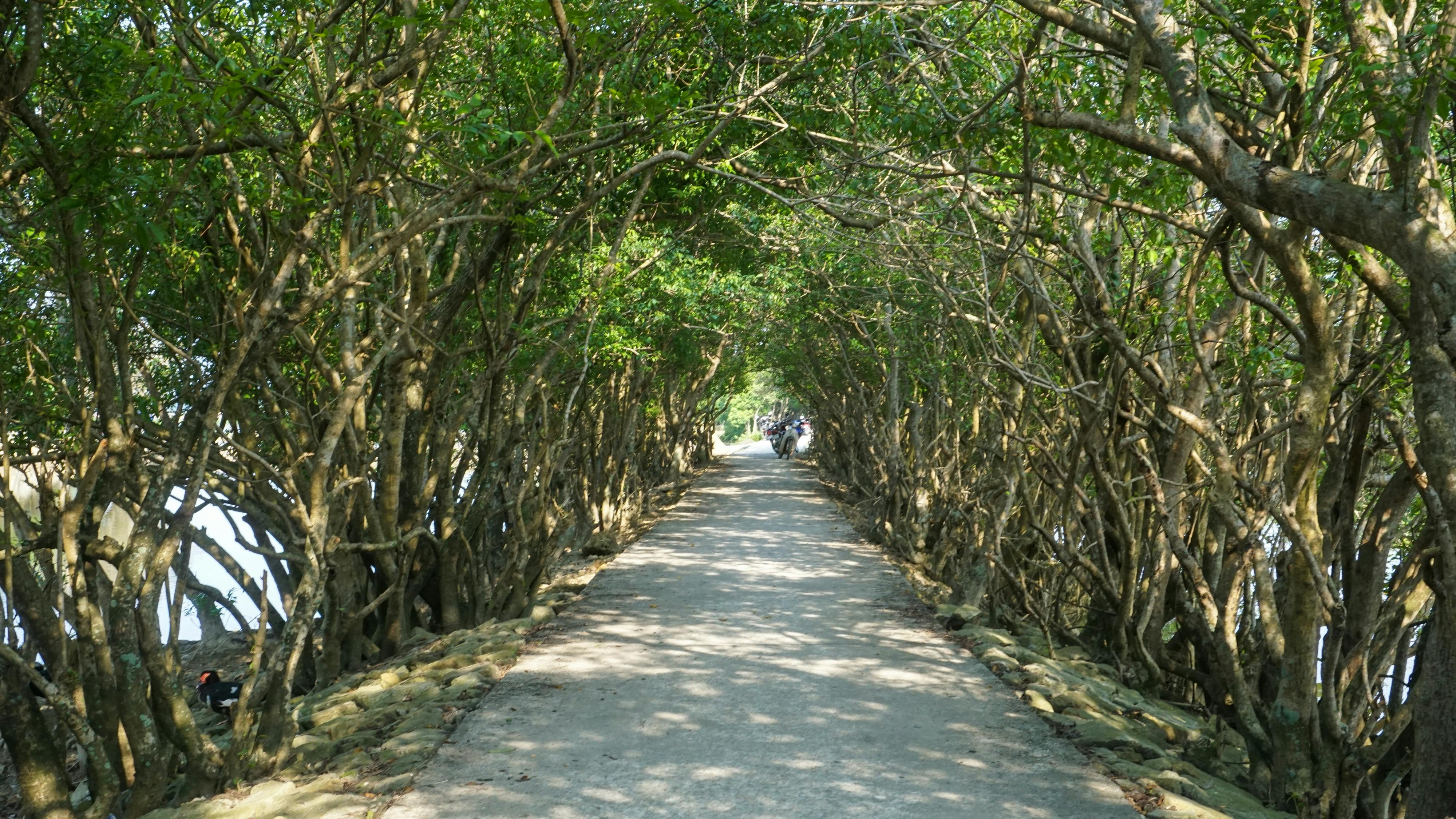 Trung tâm nghiên cứu văn học, phát triển nhà văn Việt Nam