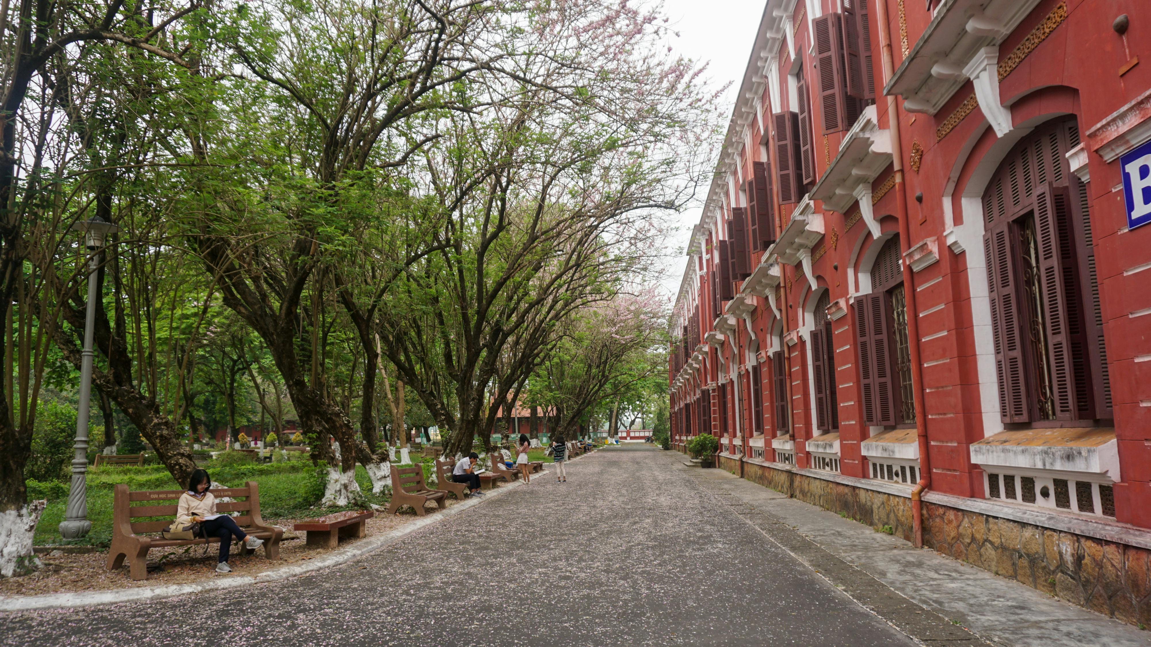 Trung tâm nghiên cứu văn học, phát triển nhà văn Việt Nam