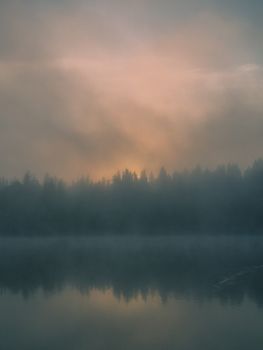 Tranquil sunrise over a misty forest lake with soft reflections.