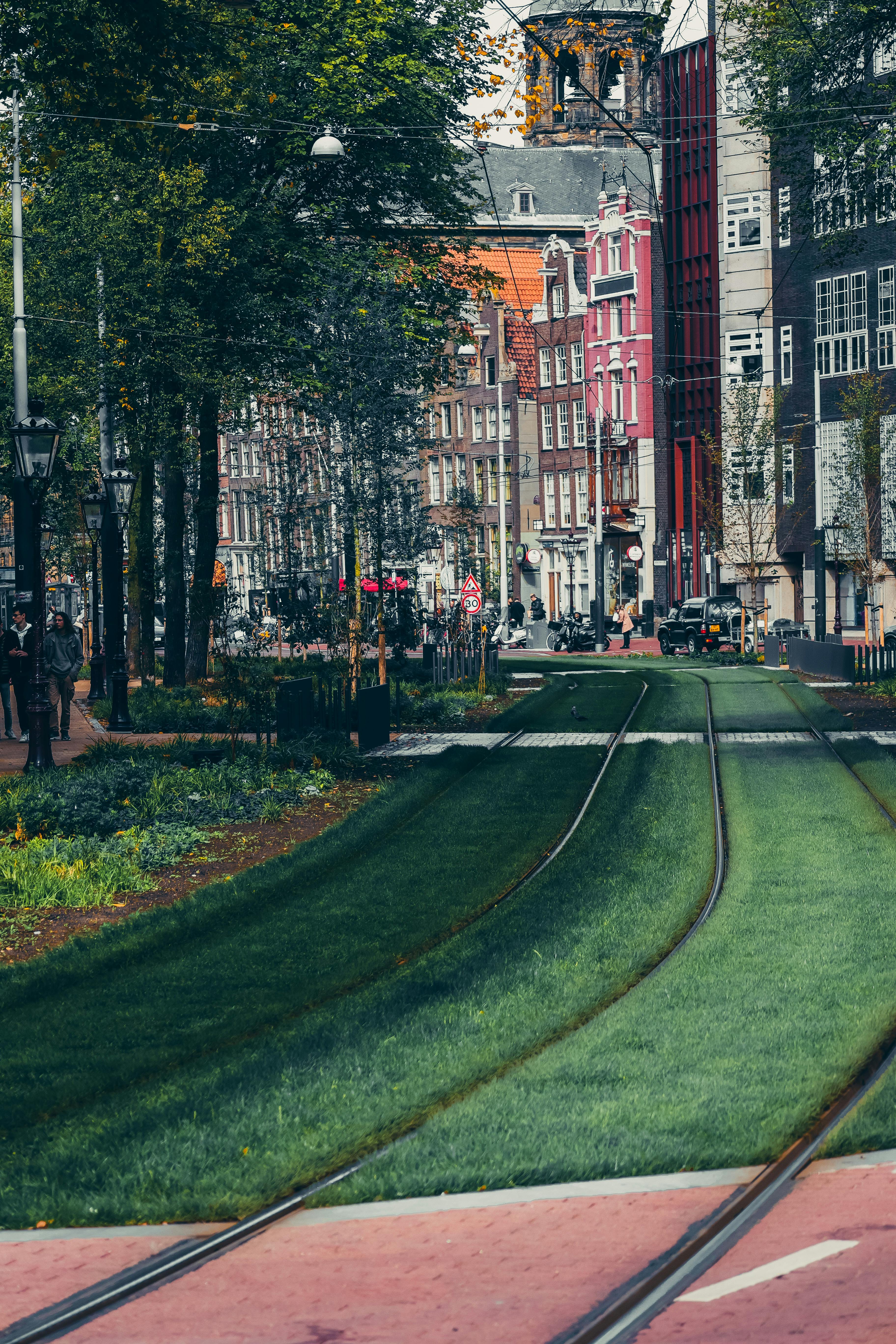 심령 스토리의 세계