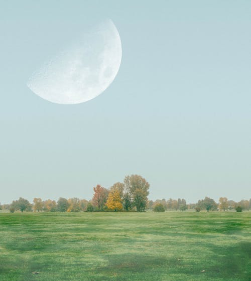 Free Photo of Half Moon Over Grass Field Stock Photo