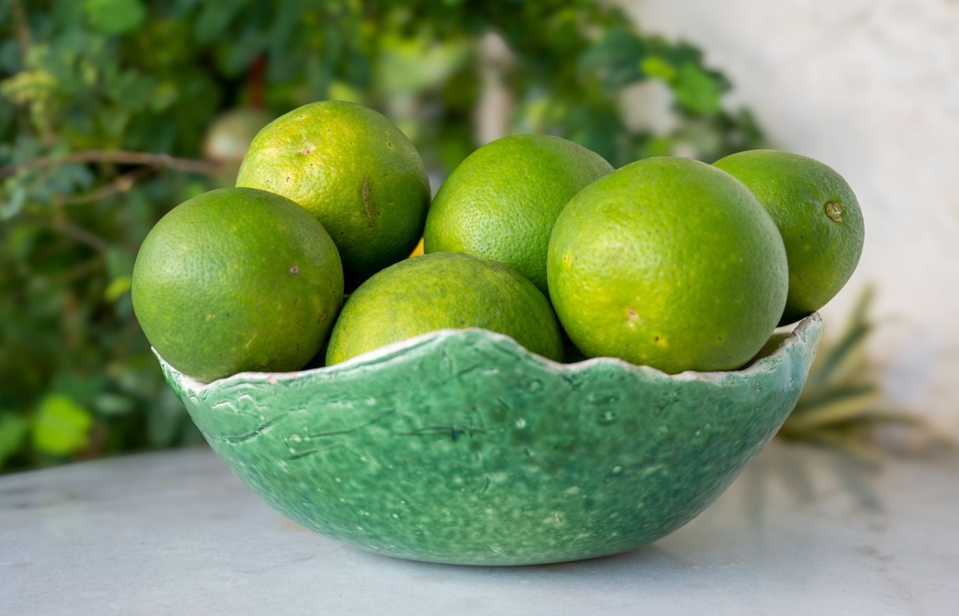 A vibrant display of fresh green limes in a textured ceramic bowl against a lush outdoor backdrop.