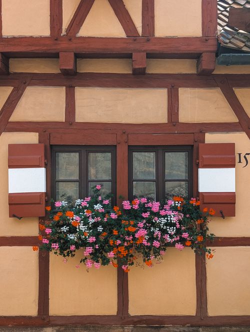 Free Colorful blossoms adorn a traditional half-timbered house facade in Nuremberg, Germany. Stock Photo