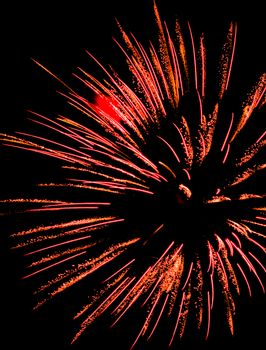 A vibrant display of fireworks exploding in the night sky.