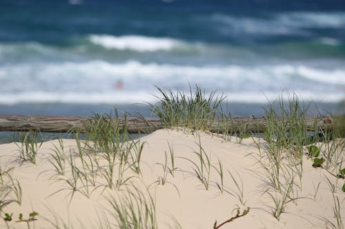 Free stock photo of backgroun, background, beach