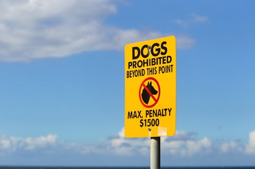 Free stock photo of dog, no dogs, sign