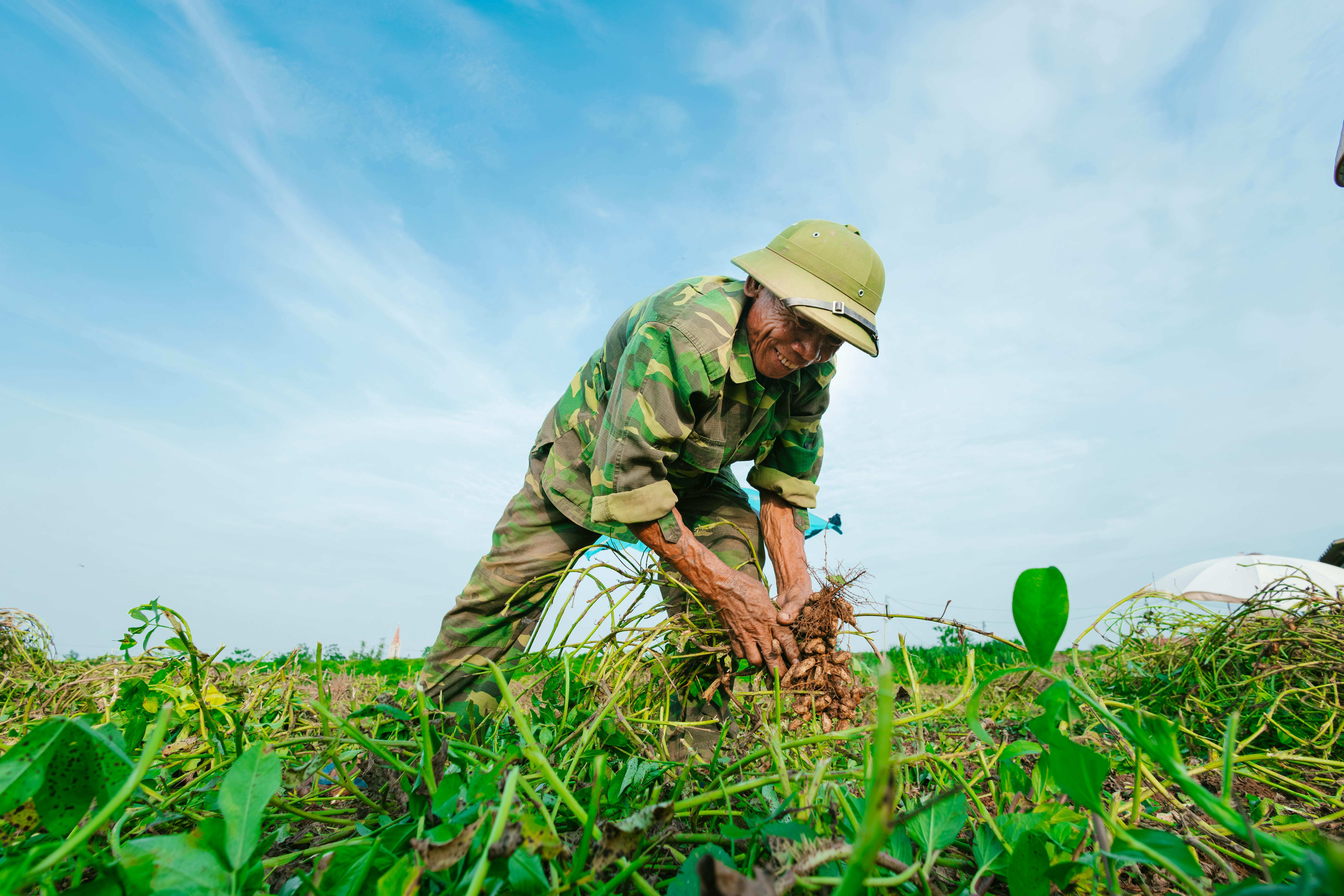 法定代表人資格限制 避開3大風險 確保公司運作順暢 - 案例分析圖表