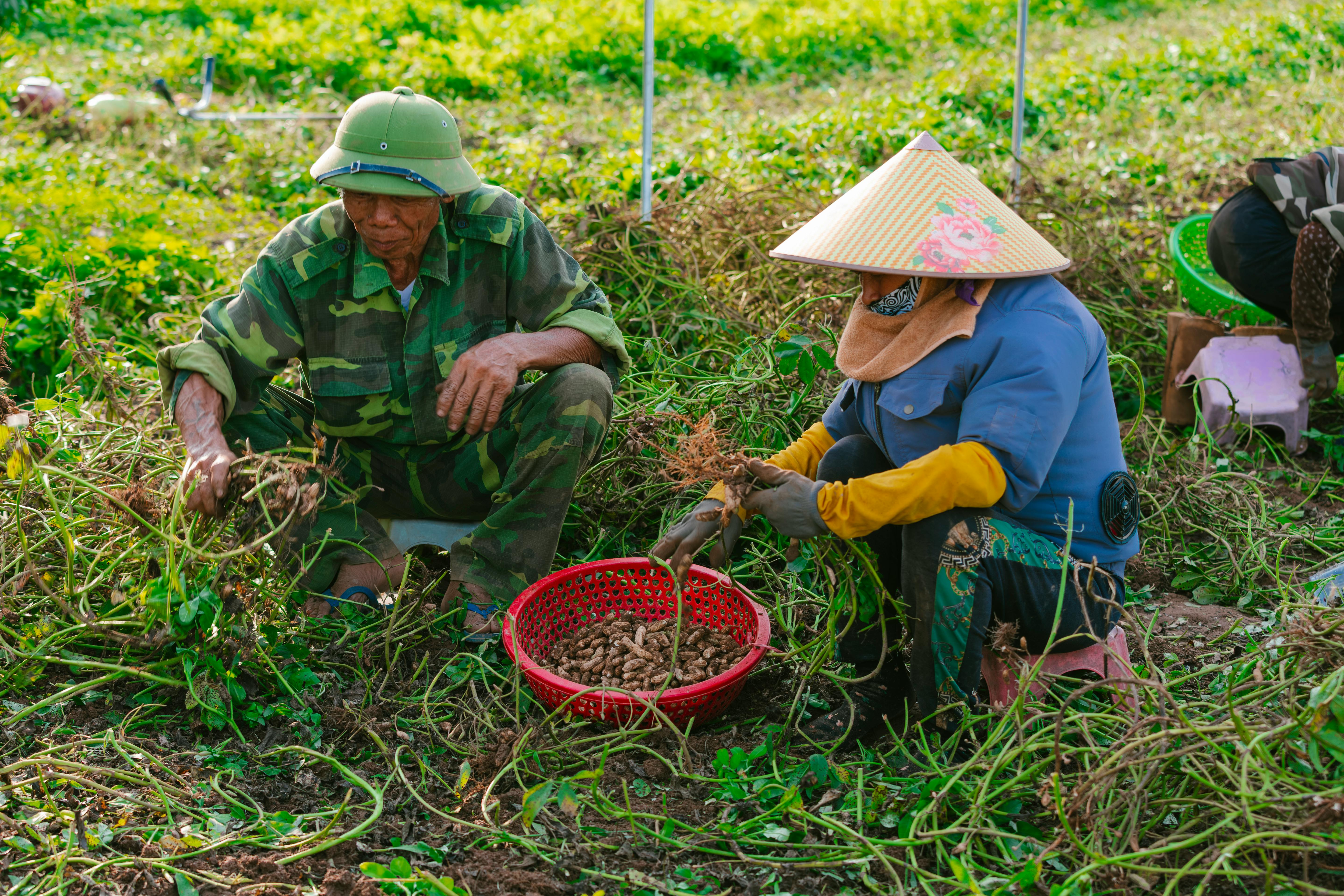 Biofarm background image