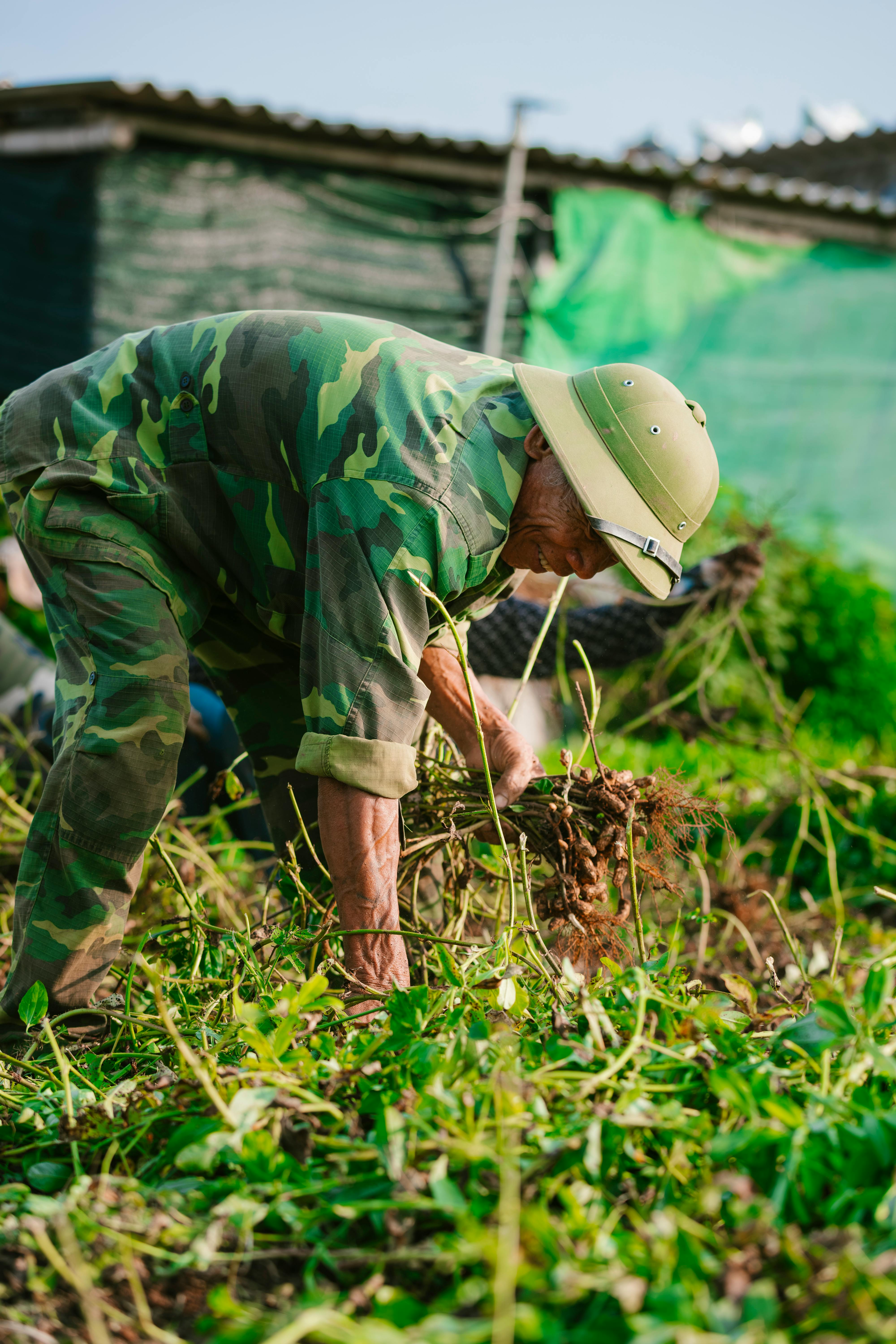 Training Programs for Project Management